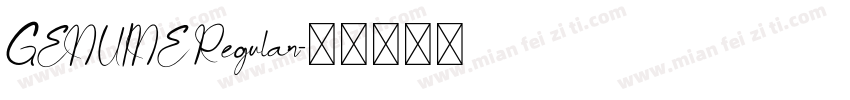 GENUINE Regular字体转换